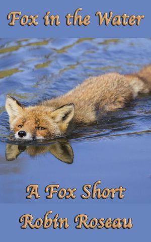 [The Fox Shorts 02] • Fox in the Water